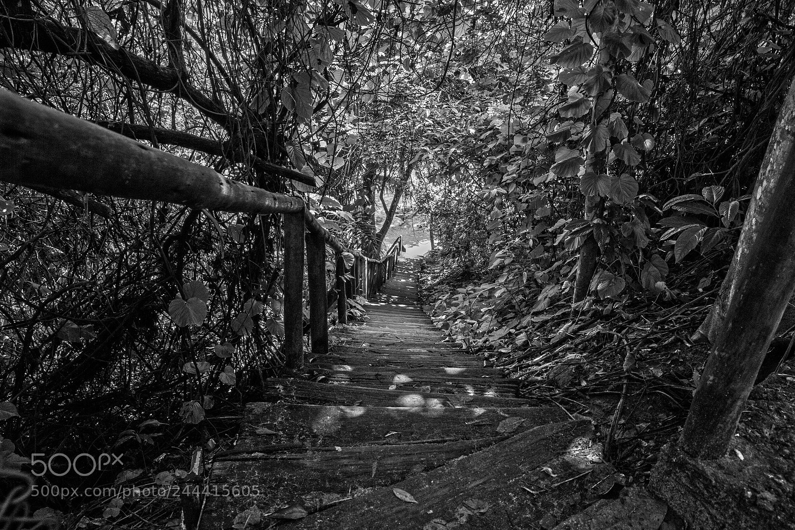 Canon EOS 60D sample photo. Escada - angra dos photography
