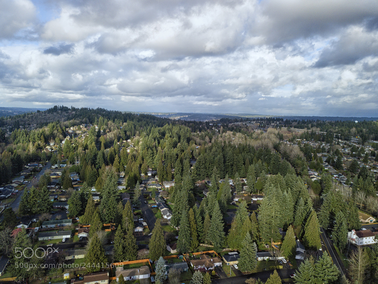 DJI FC220 sample photo. Hey the palm trees photography