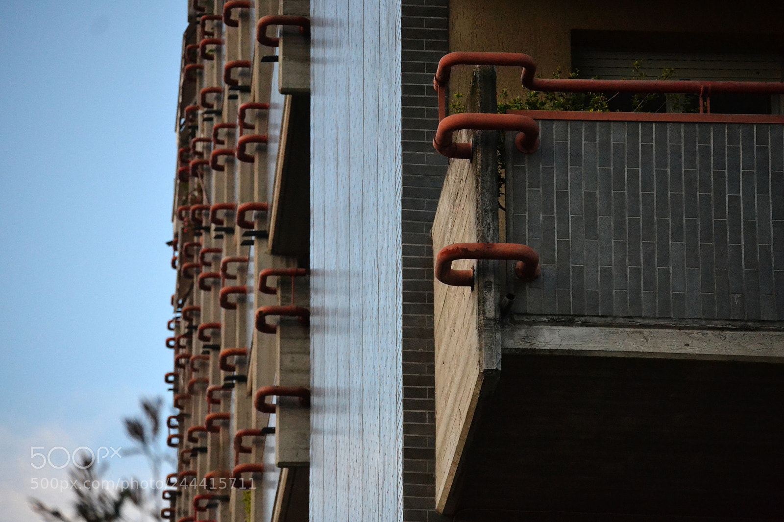 Nikon D3100 sample photo. Untitled photography