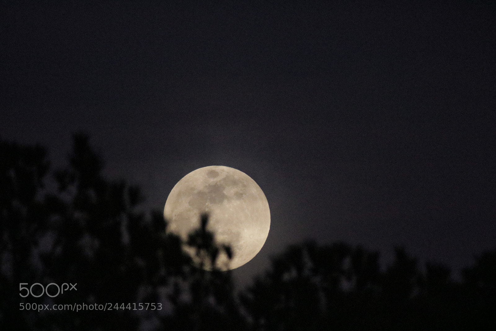 Canon EOS 760D (EOS Rebel T6s / EOS 8000D) sample photo. Moon rising over our photography