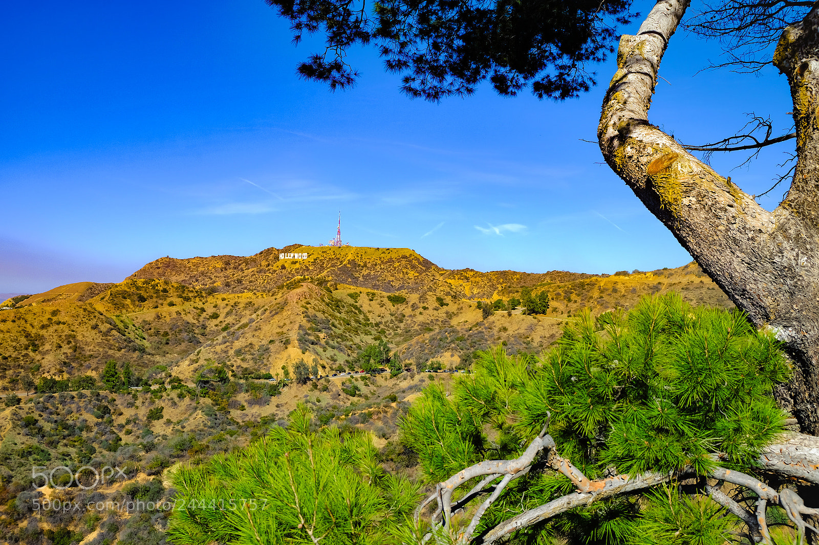 Fujifilm X-T10 sample photo. Hollywood sign photography