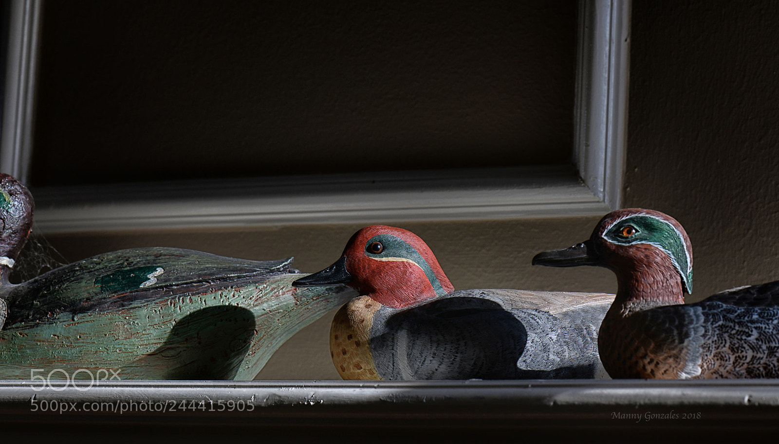 Nikon D850 sample photo. The decoy photography
