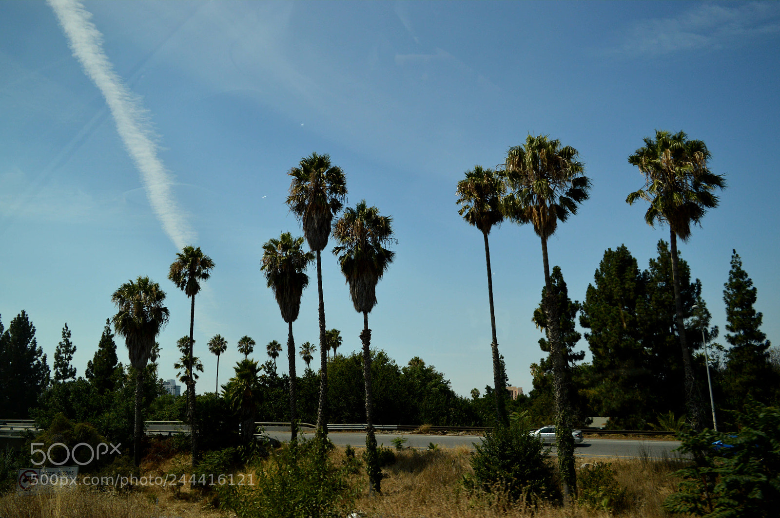 Nikon D3200 sample photo. Untitled photography