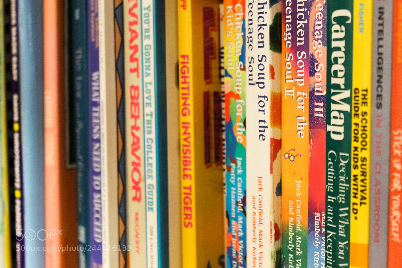 Canon EOS 1100D (EOS Rebel T3 / EOS Kiss X50) sample photo. Books by caitlynn pallotta photography
