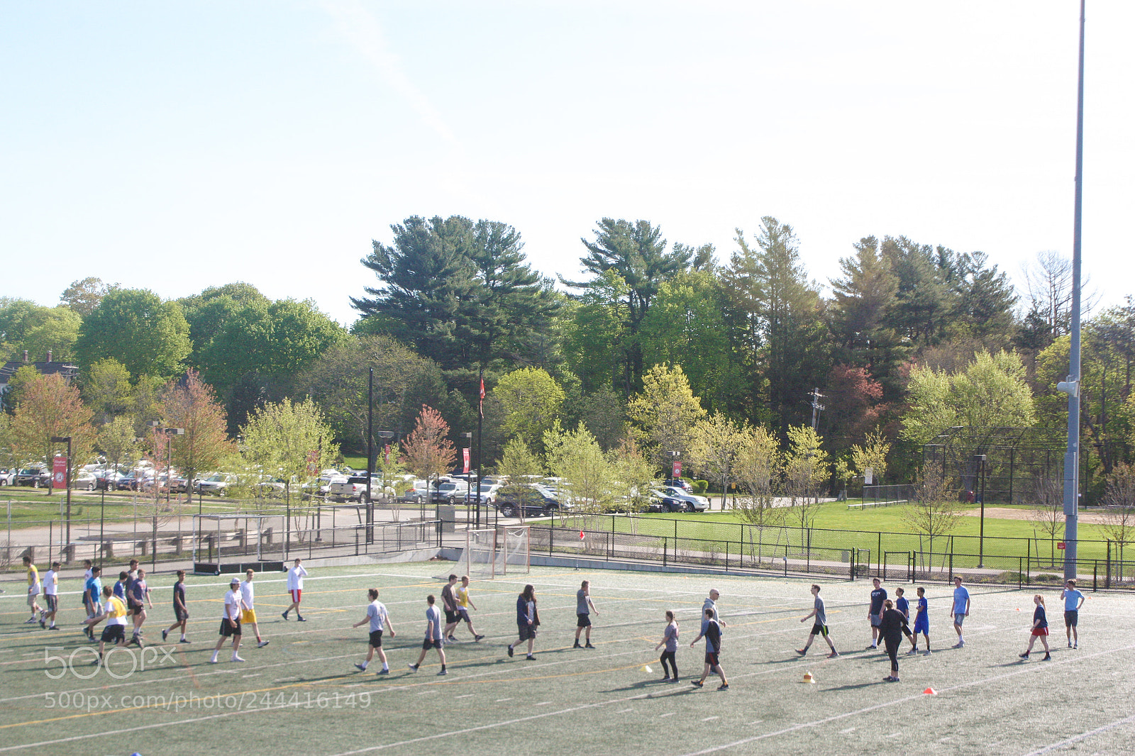 Canon EOS 450D (EOS Rebel XSi / EOS Kiss X2) sample photo. Field by caitlynn pallotta photography