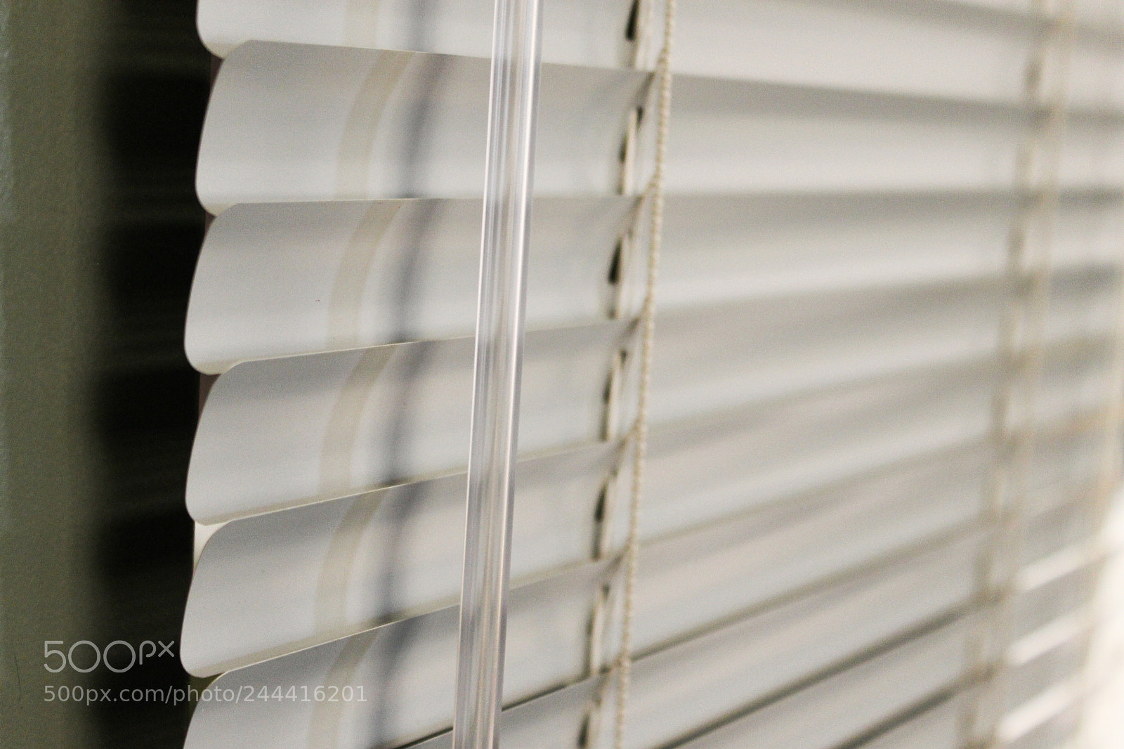 Canon EOS 1100D (EOS Rebel T3 / EOS Kiss X50) sample photo. Window by caitlynn pallotta photography