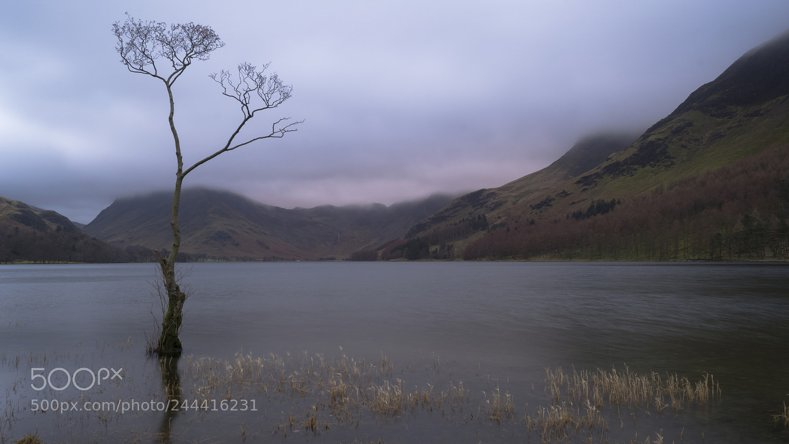 Nikon D3100 sample photo. Lone tree photography