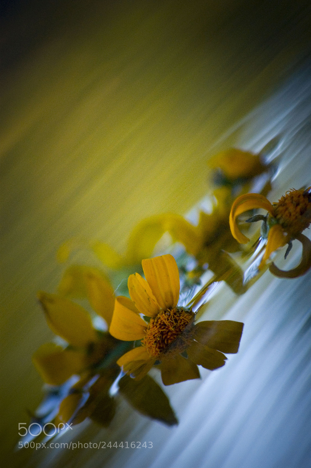Nikon D40 sample photo. Tranquil waters photography