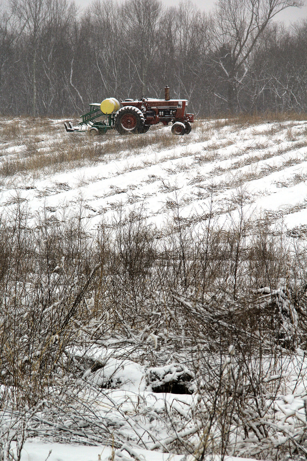 Canon EF-S 18-135mm F3.5-5.6 IS sample photo. Tractor in a snowy photography
