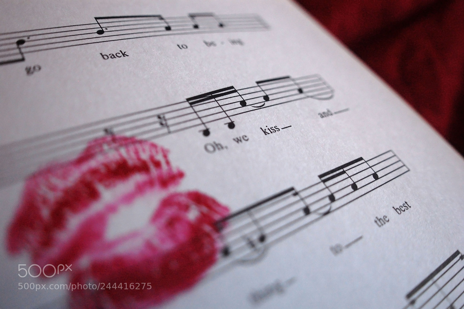 Nikon D40 sample photo. Kiss photography