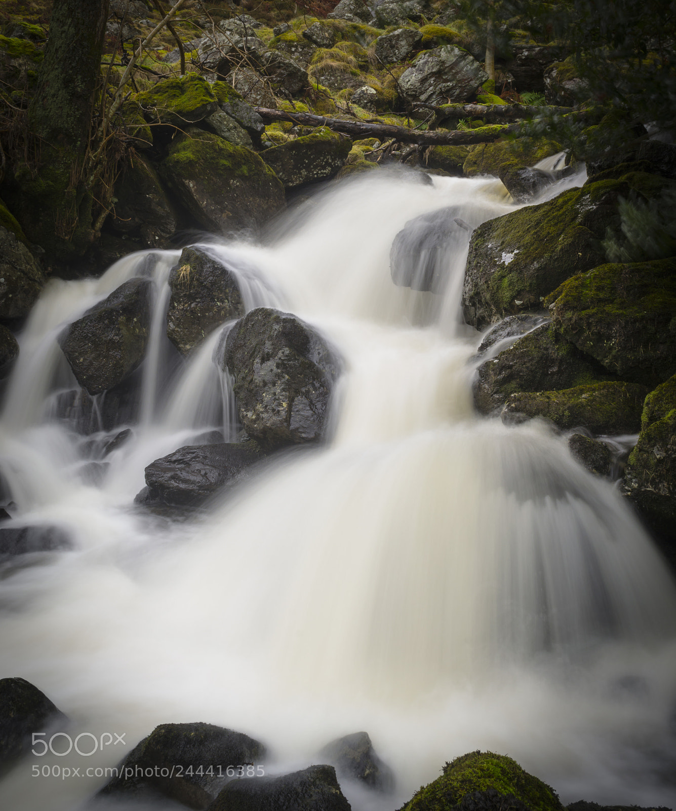 Nikon D3100 sample photo. The falls photography