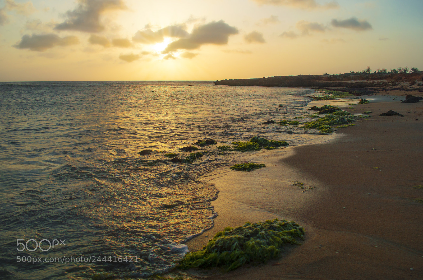 Nikon D3200 sample photo. Playa punta agujas photography