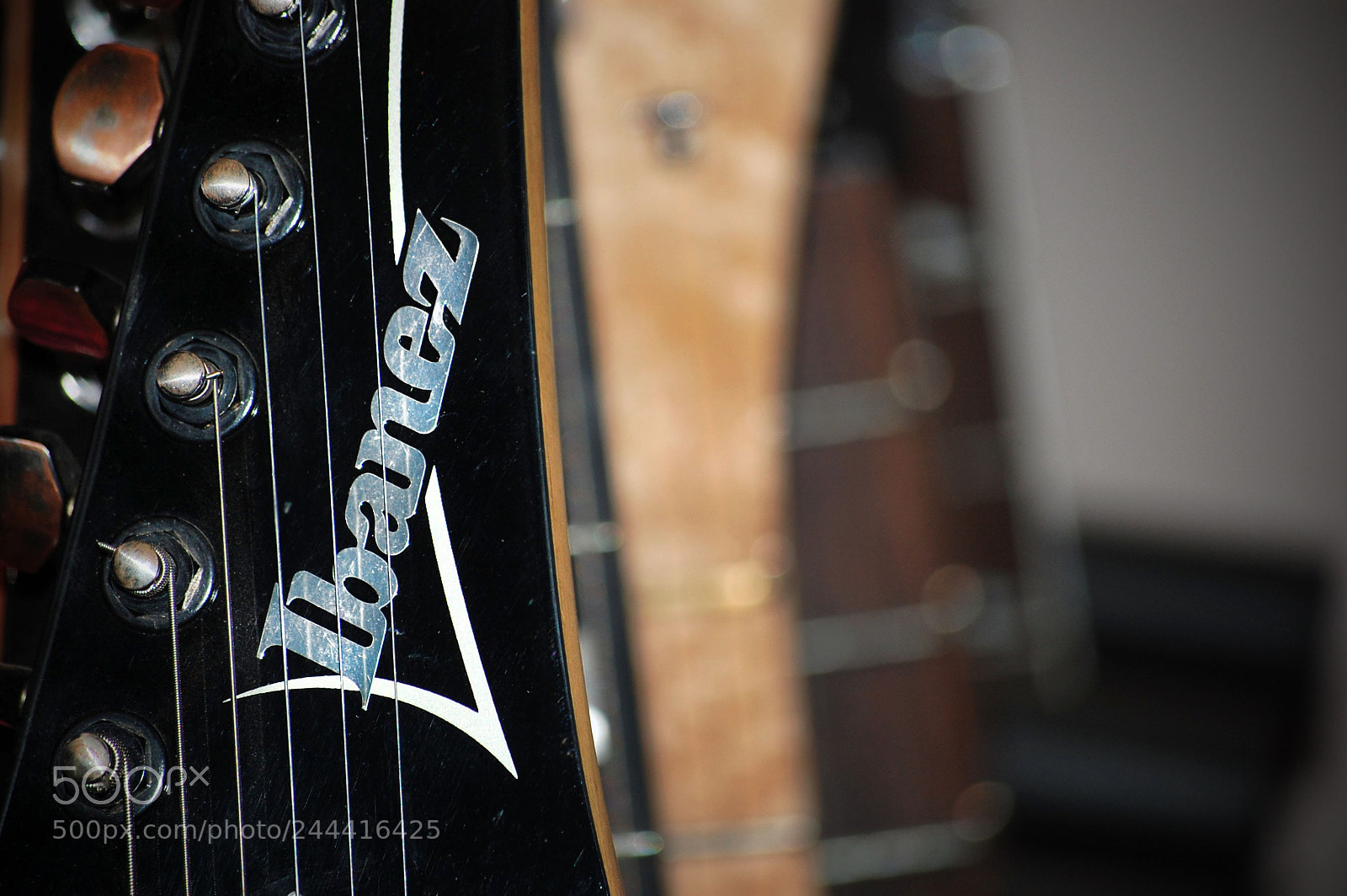 Nikon D40 sample photo. Ibanez photography