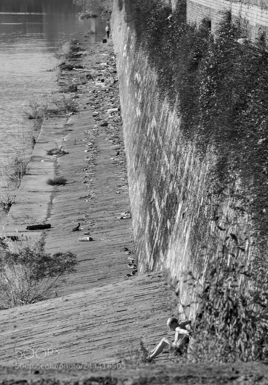 Nikon D3100 sample photo. Untitled photography