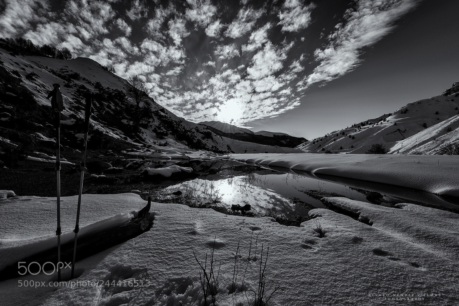 Nikon D810 sample photo. Sunset in black and photography