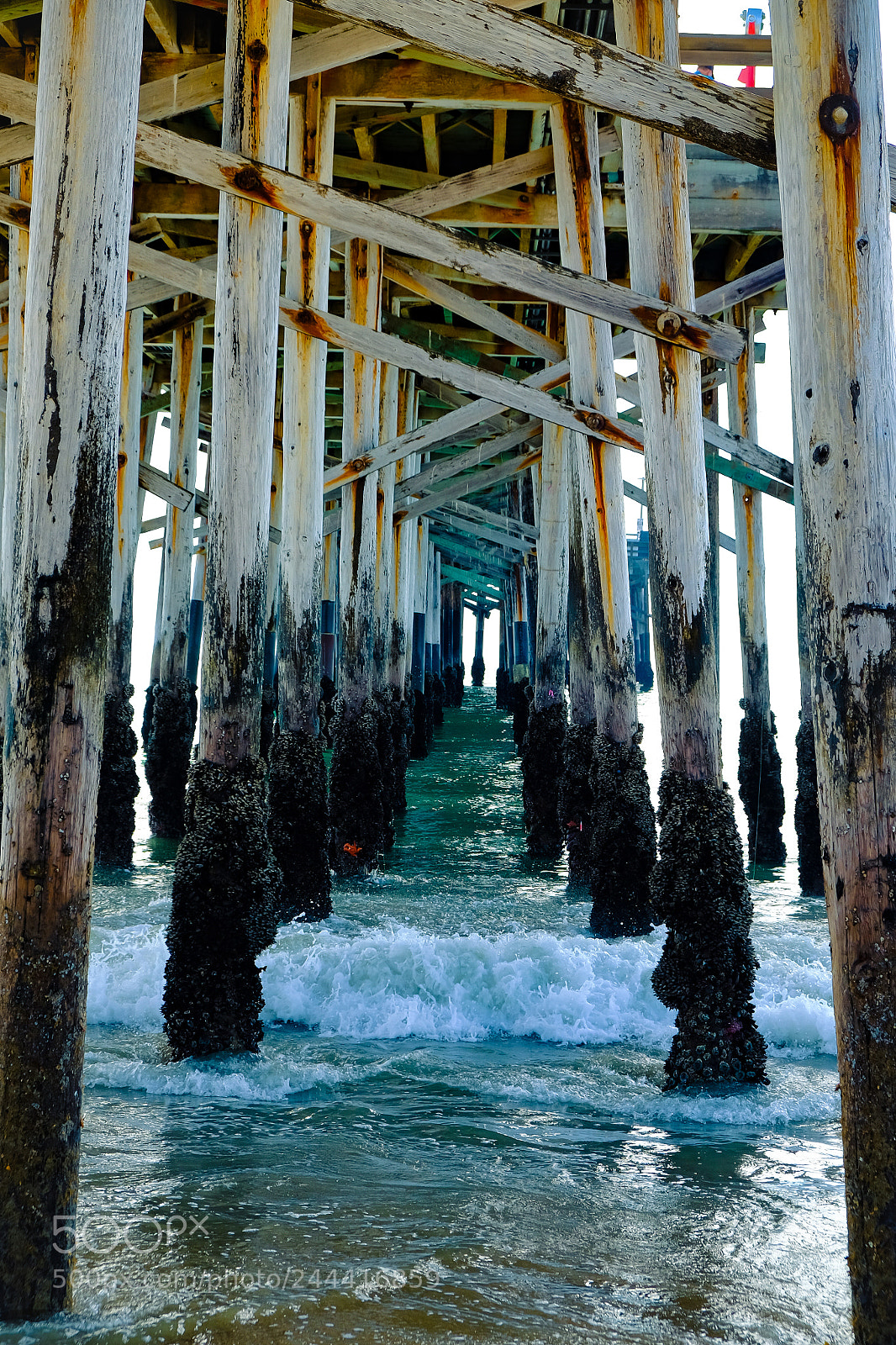 Fujifilm X-T10 sample photo. Unique portal to pacific photography