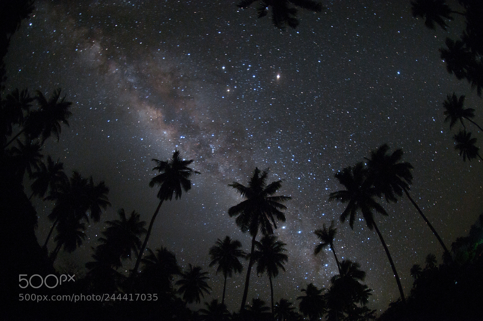 Nikon D300S sample photo. Nightsky over tropical island photography