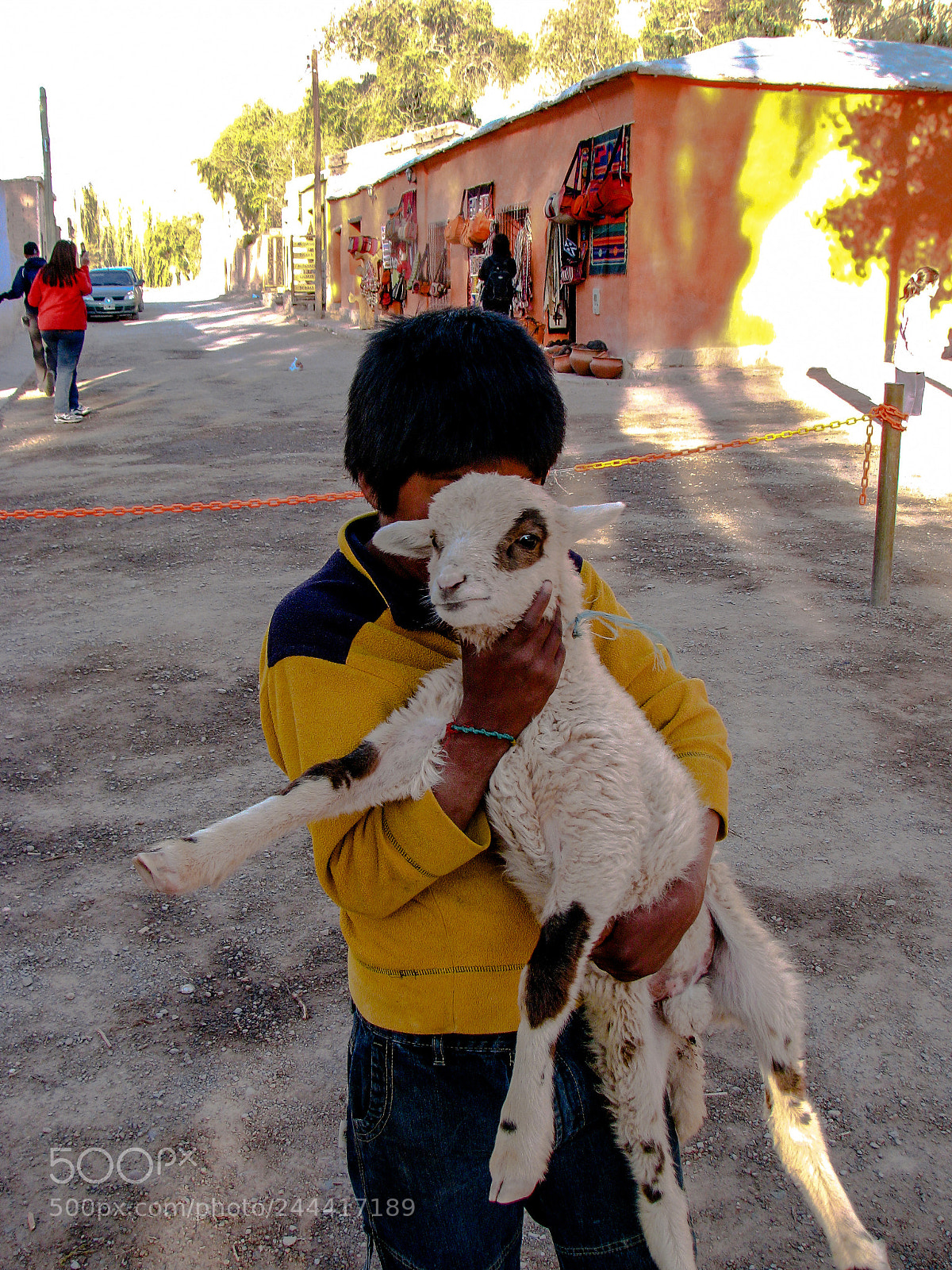 Canon POWERSHOT S5 IS sample photo. My little goat photography
