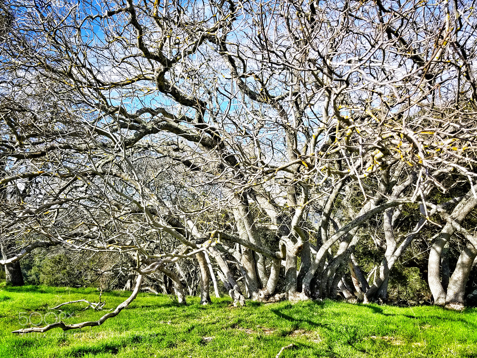 Samsung Galaxy S8 sample photo. Rooted photography