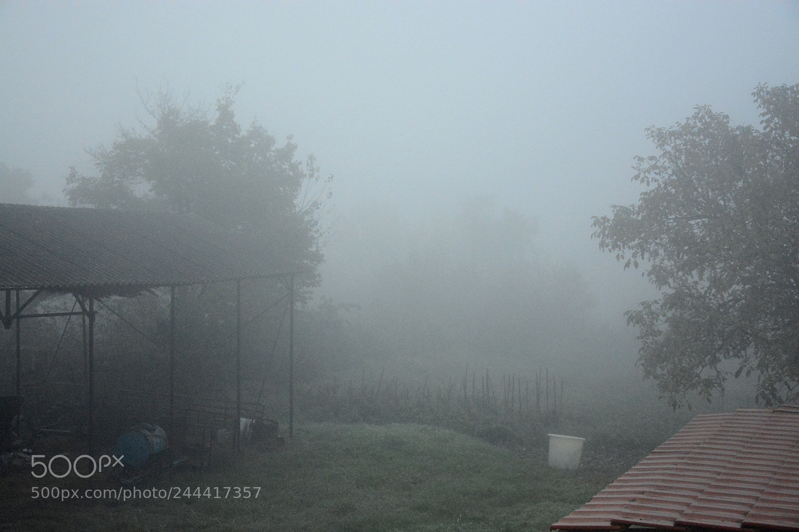 Nikon D7100 sample photo. Foggy morning in the photography