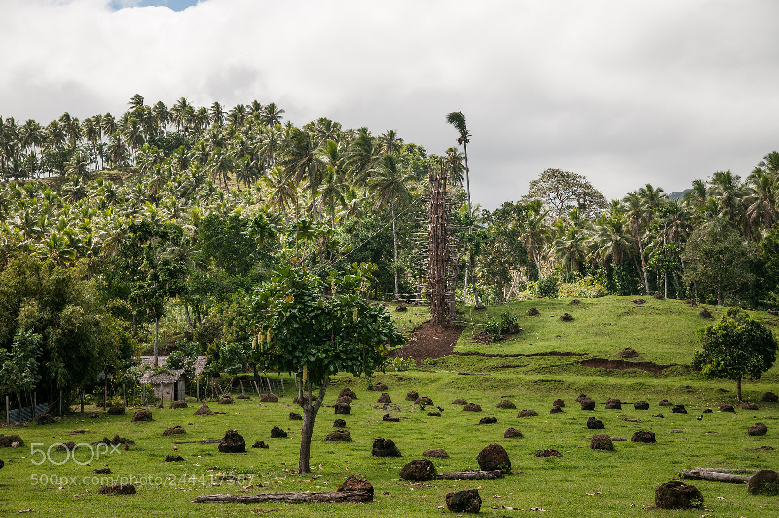 Nikon D300S sample photo. Landdiving tower photography