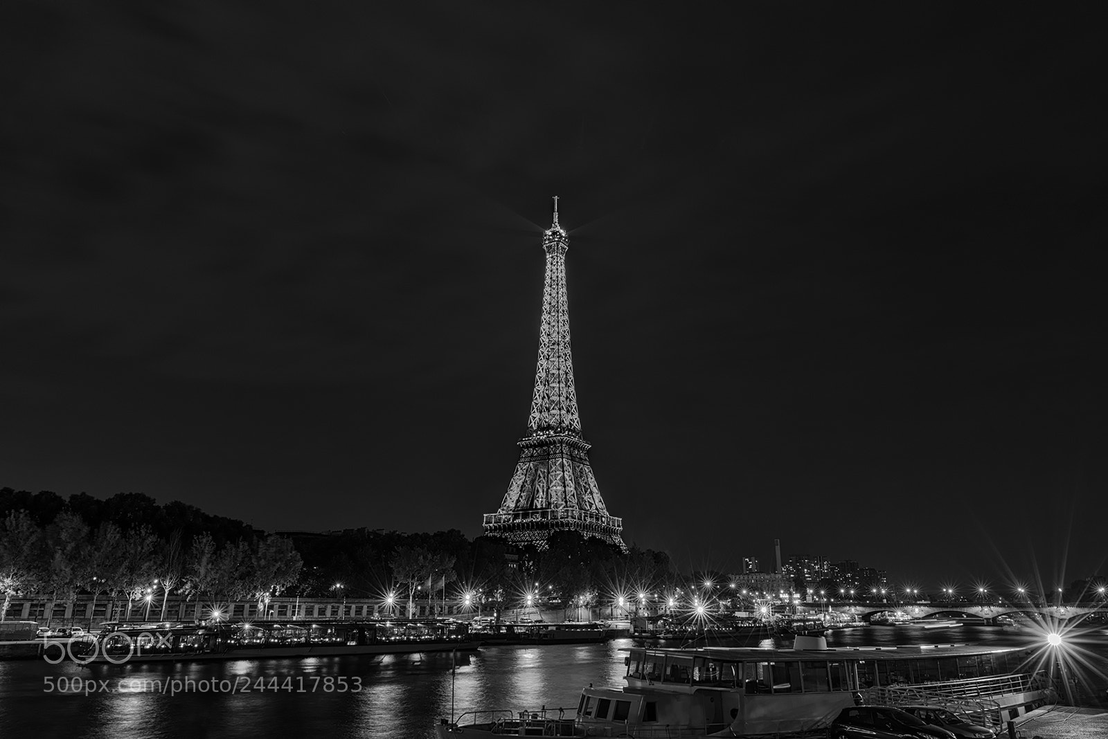 Nikon D810 sample photo. Eiffel tower photography