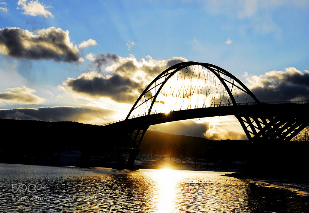 Nikon D200 sample photo. Bridge updated photography