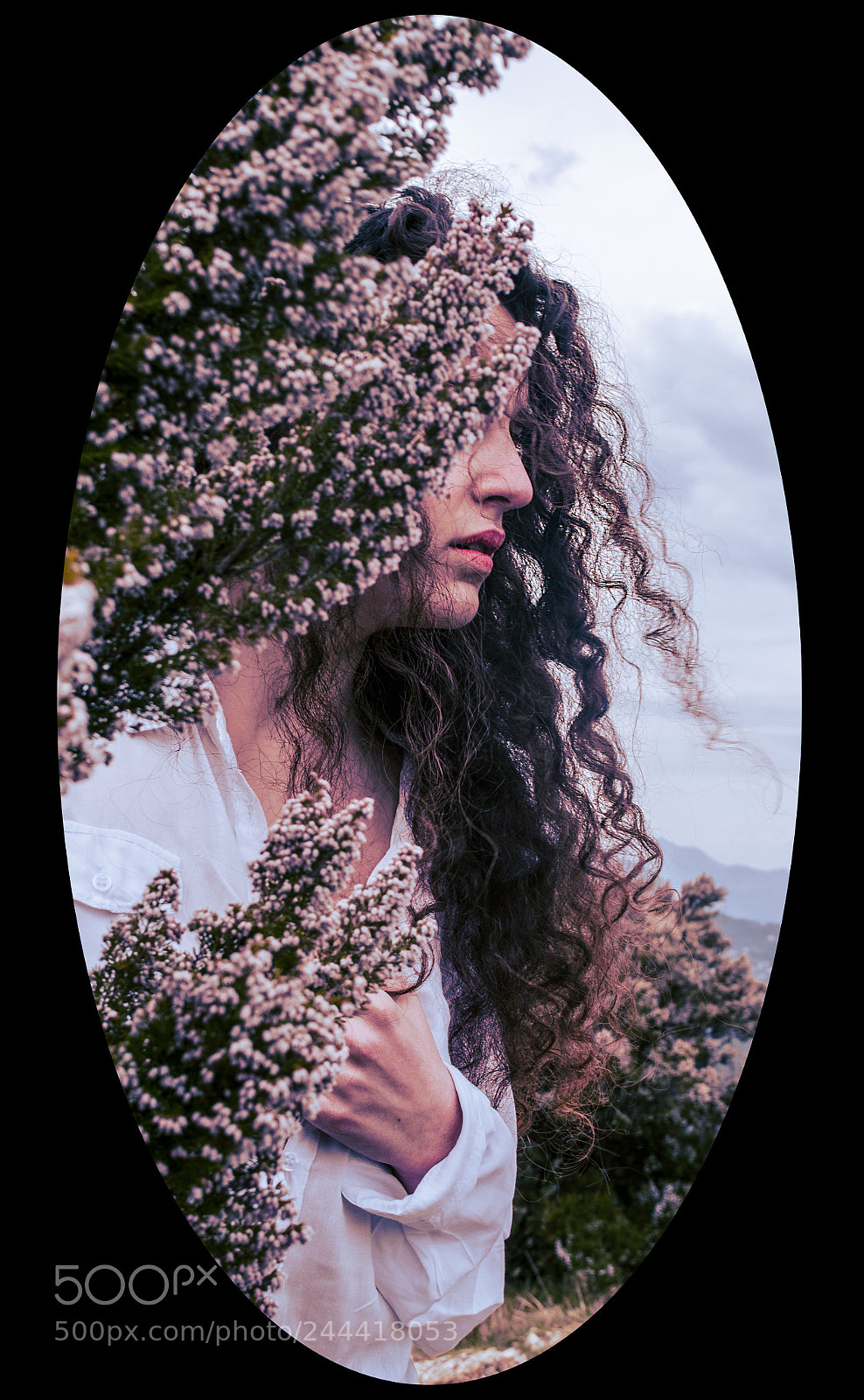 Nikon D5100 sample photo. No face. flower. photography
