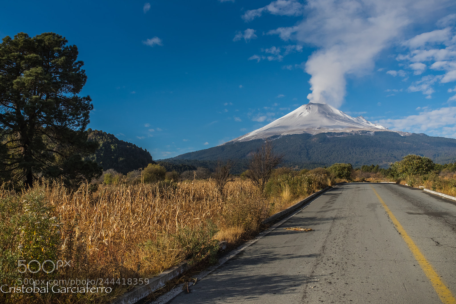Canon EOS-1D X Mark II sample photo. Going to the volcano photography