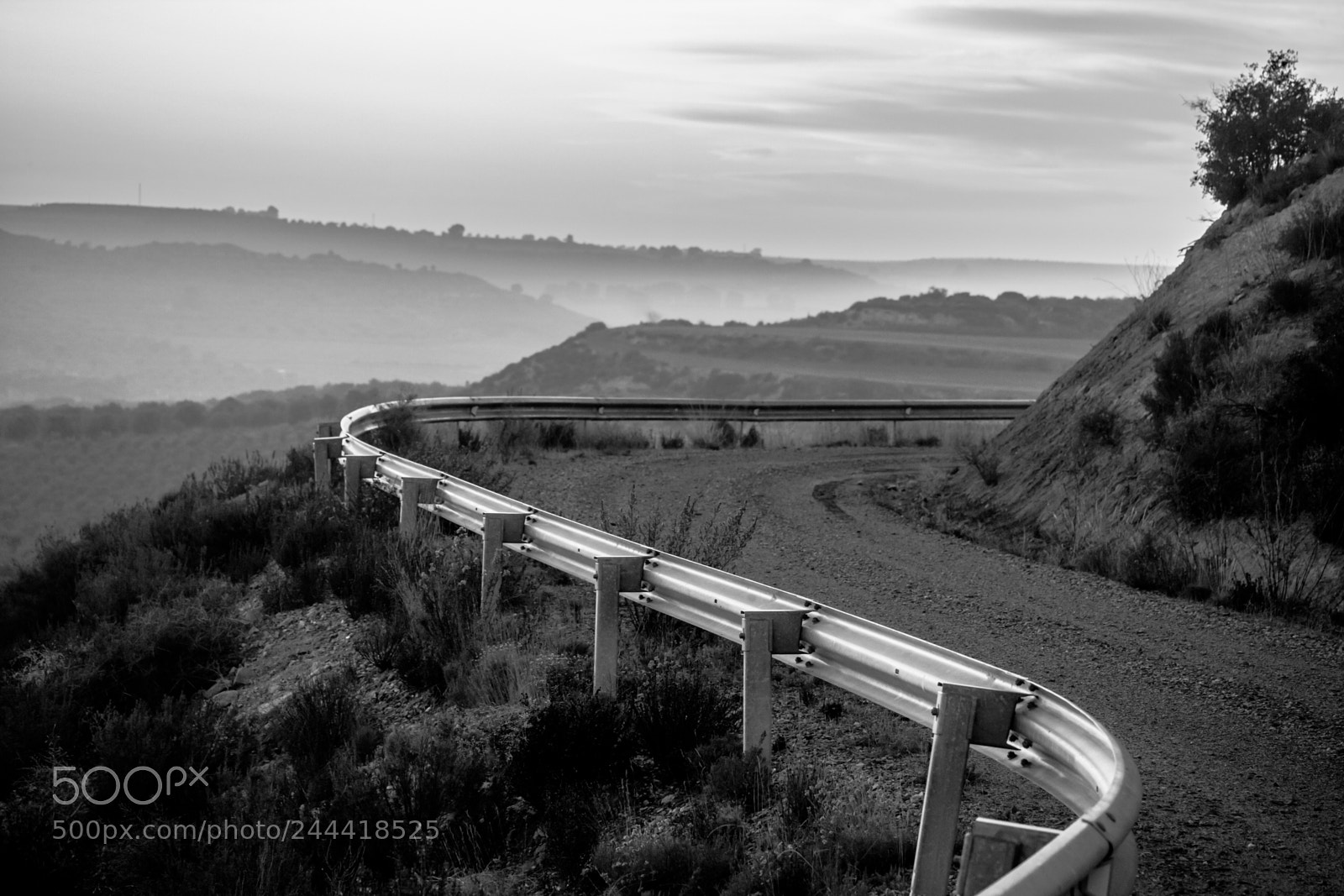 Canon EOS-1Ds Mark II sample photo. Garrigues landscape iii photography