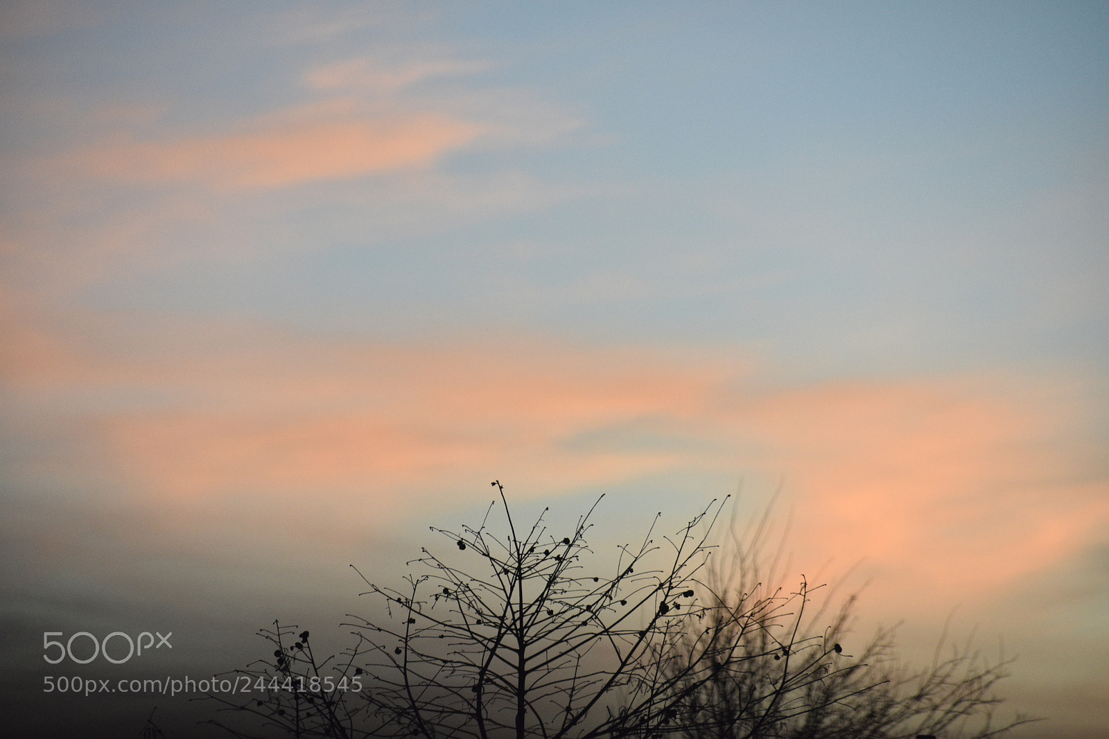 Nikon D3400 sample photo. Twilight photography