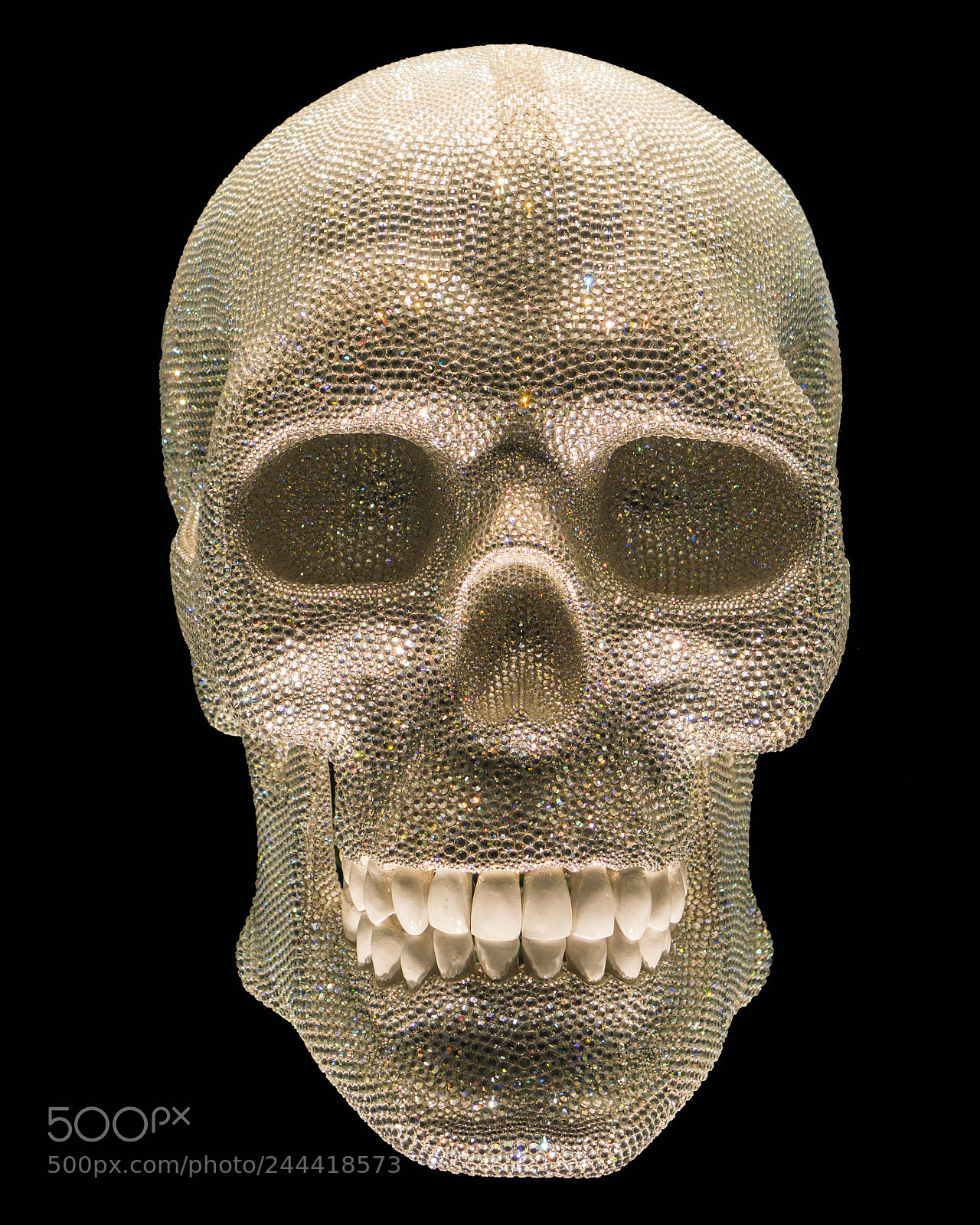 Sony a6300 sample photo. Isolated jewelry fashion skull photography