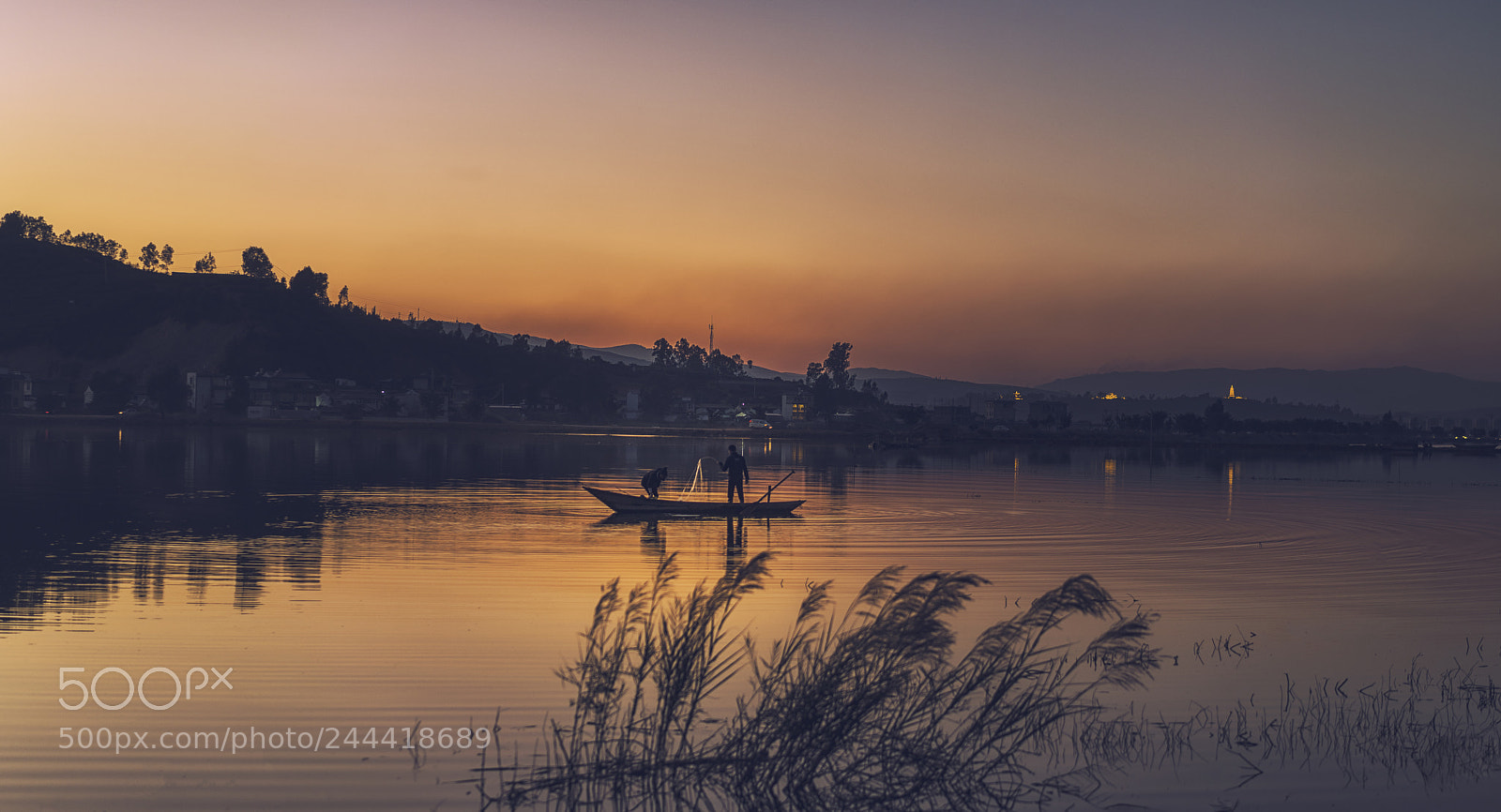 Sony a7R II sample photo. 结网而归 photography