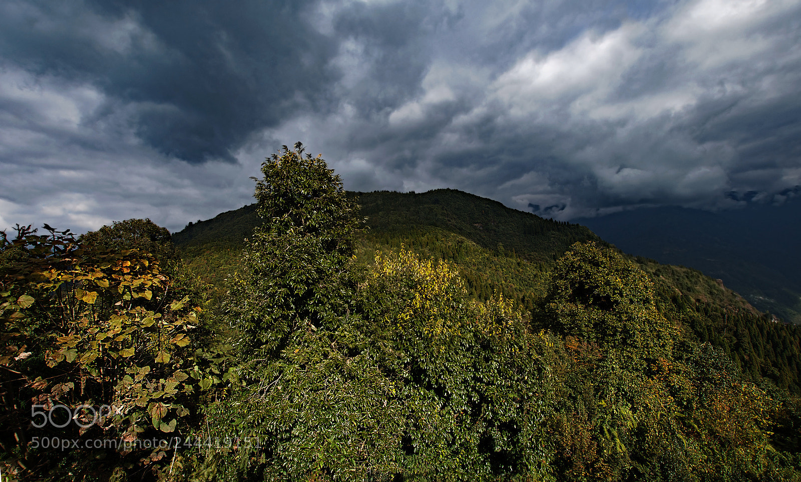 Nikon D500 sample photo. Hanuman tok photography