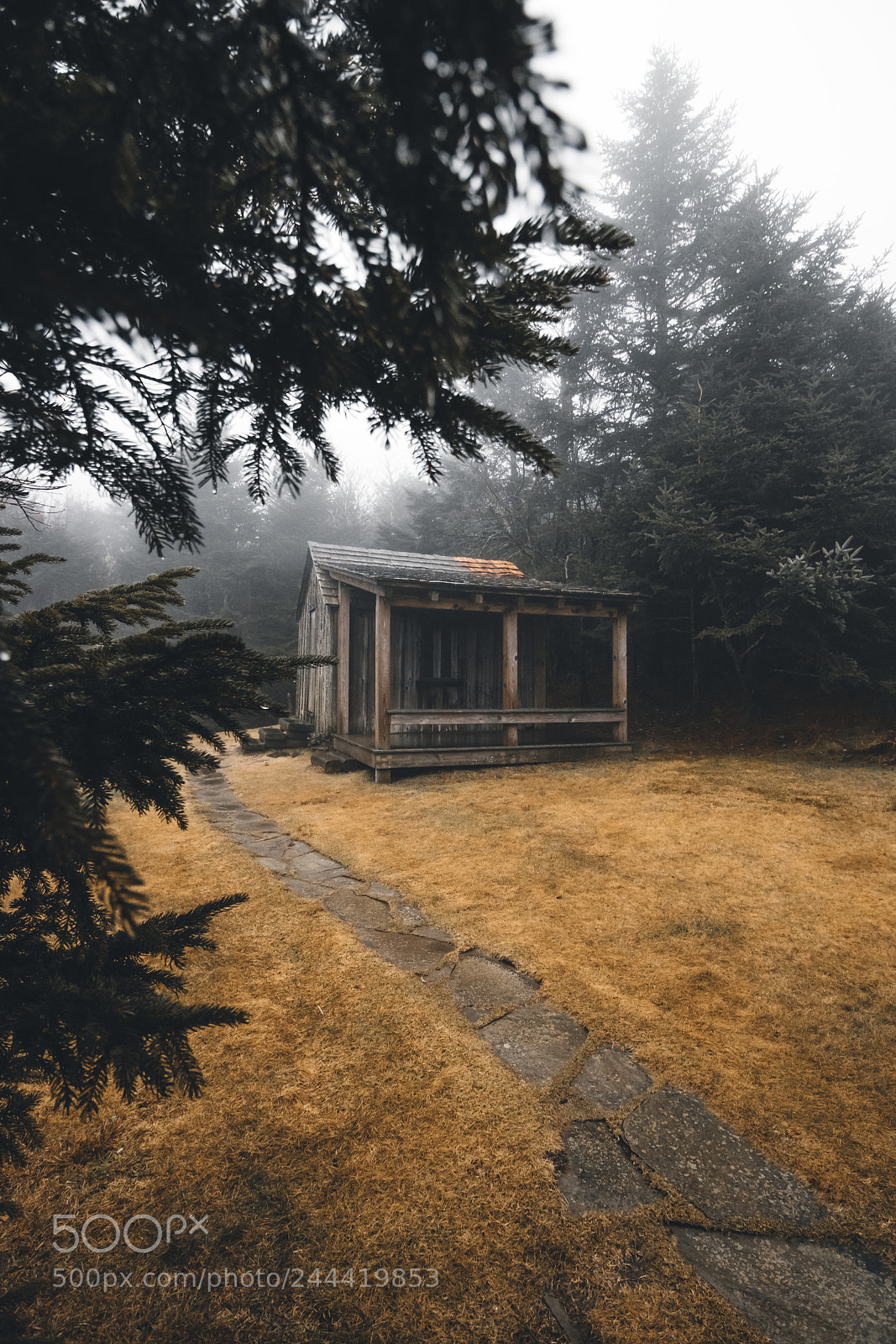 Canon EOS 750D (EOS Rebel T6i / EOS Kiss X8i) sample photo. A cabin in the photography