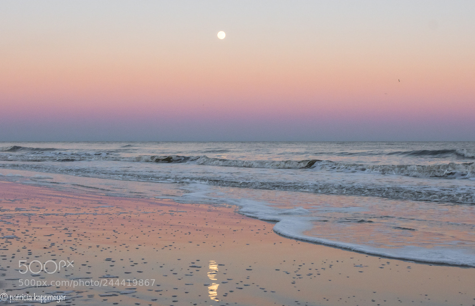 Nikon D7200 sample photo. Super moonrise photography