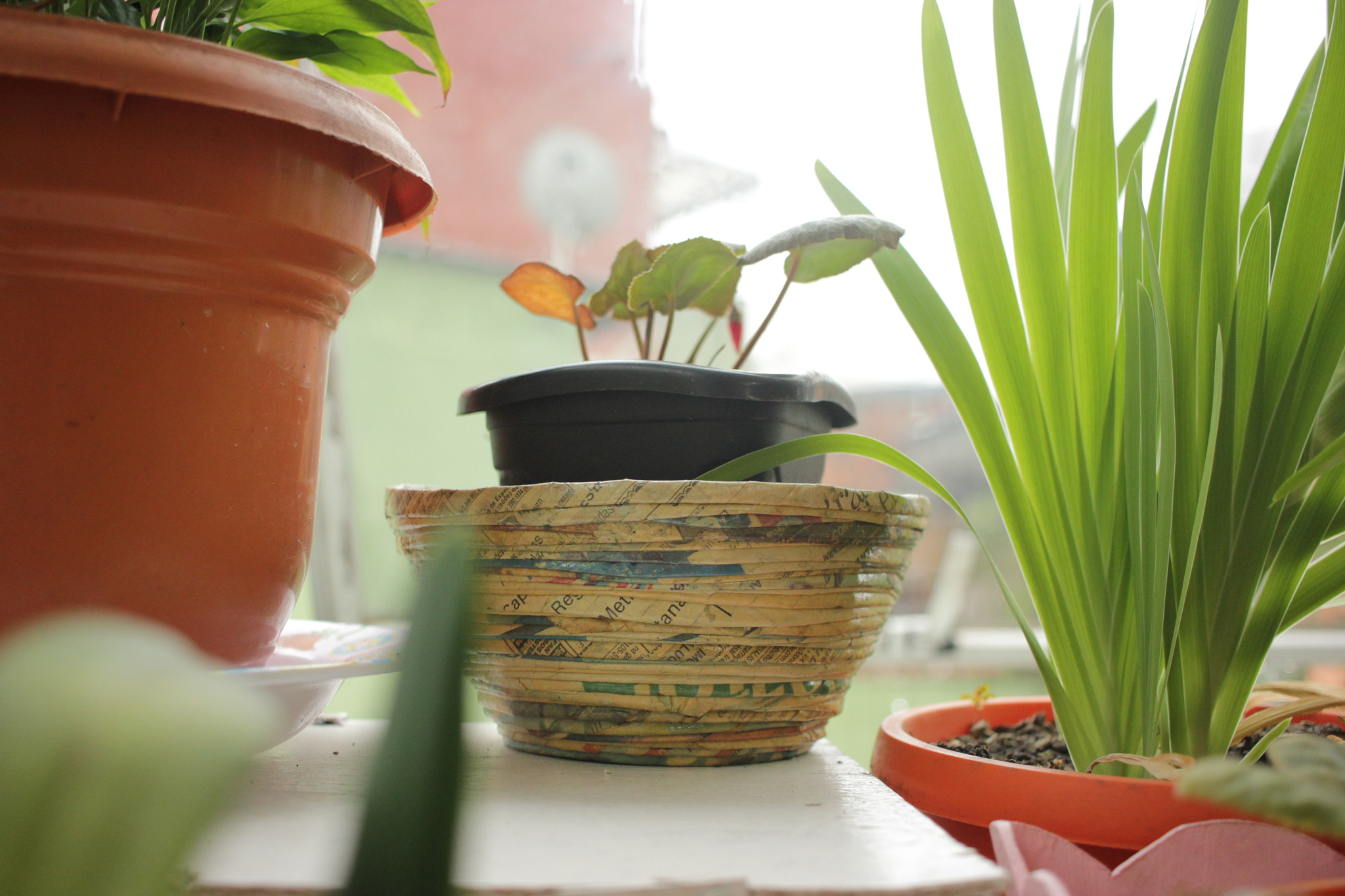 Canon EF-S 24mm F2.8 STM sample photo. Detalhes photography