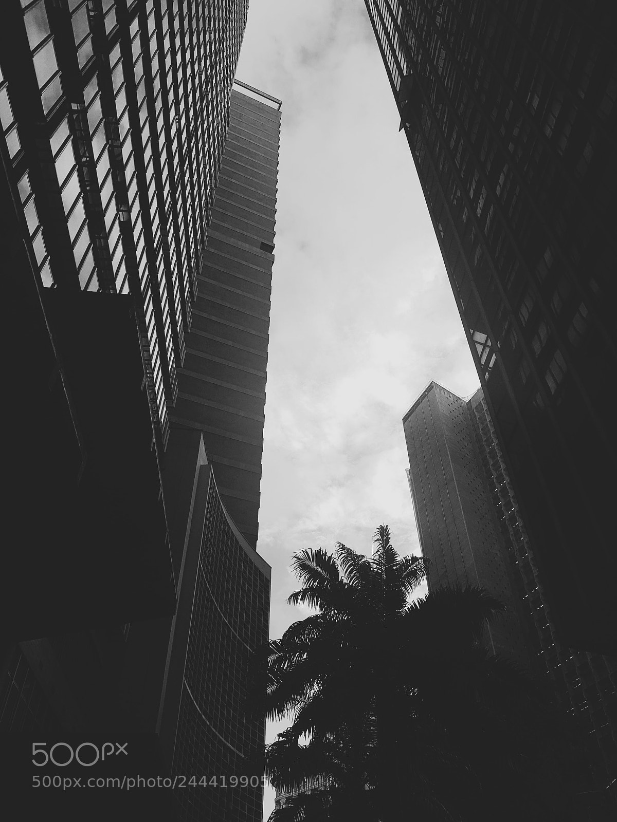 Samsung Galaxy S8 sample photo. Untitled photography
