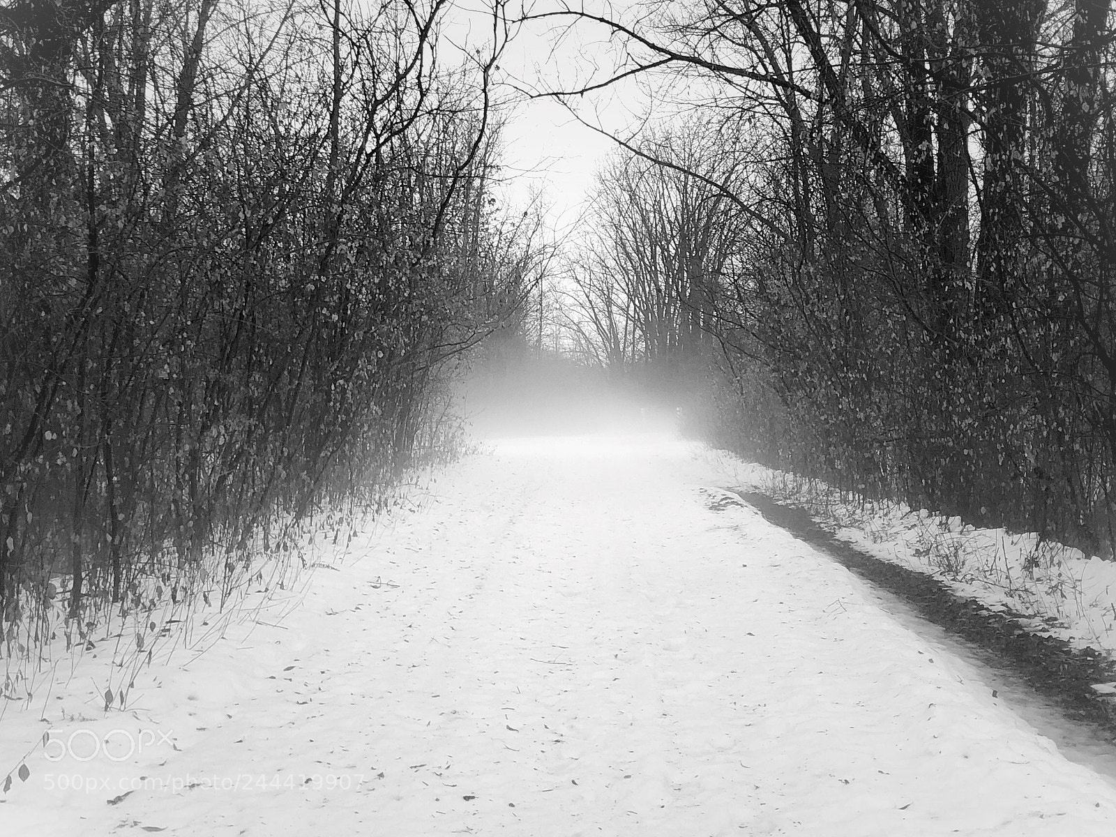 Apple iPhone 8 sample photo. Rain and fog in photography