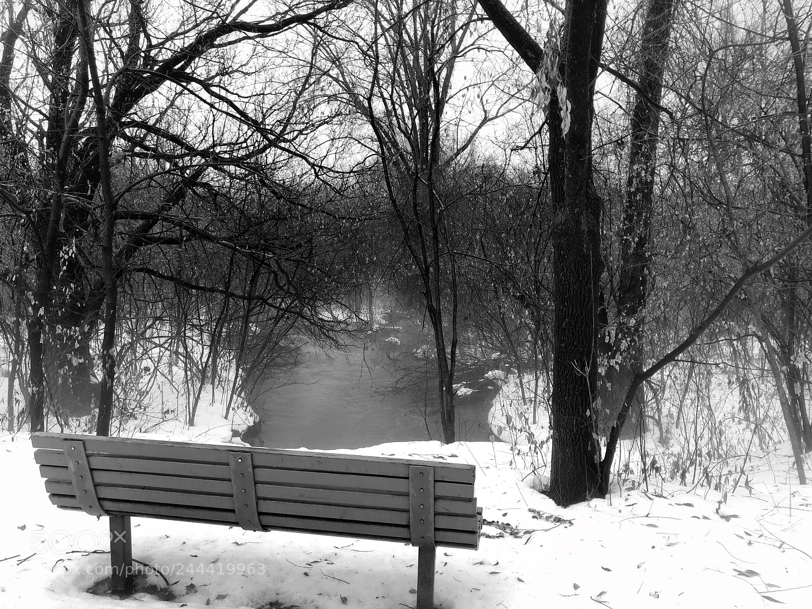 Apple iPhone 8 sample photo. Solitude photography