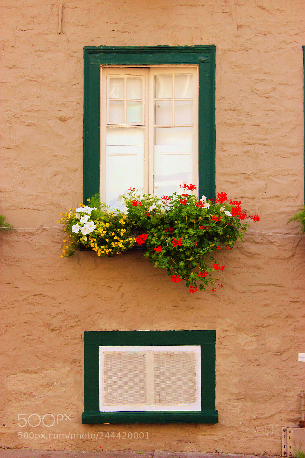 Canon EOS 600D (Rebel EOS T3i / EOS Kiss X5) sample photo. The window photography