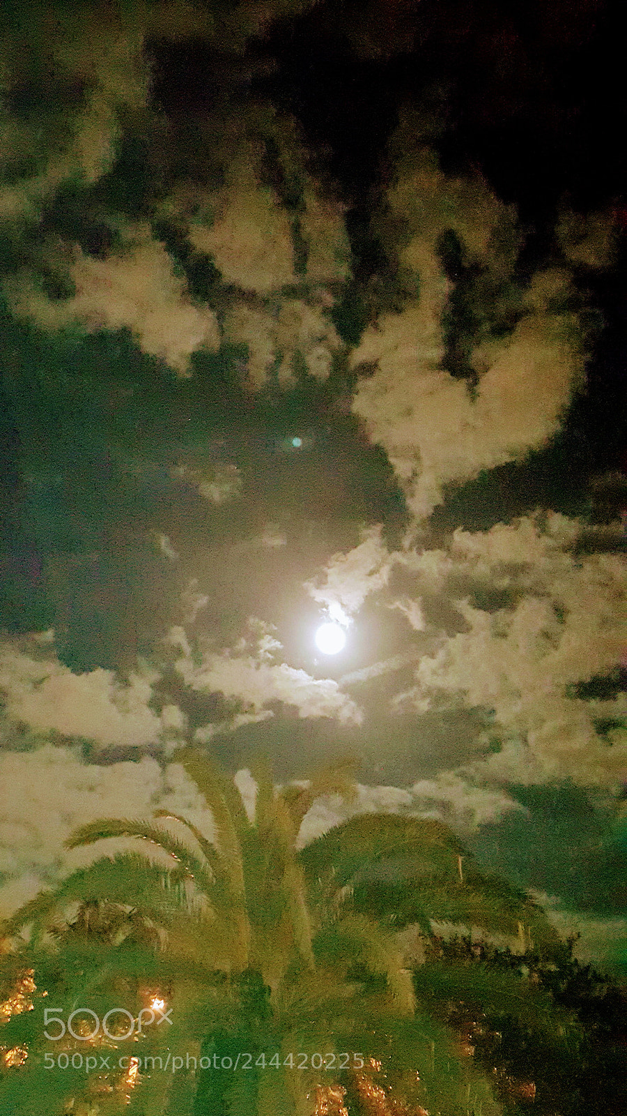 Samsung Galaxy Note5 sample photo. Miami moon photography