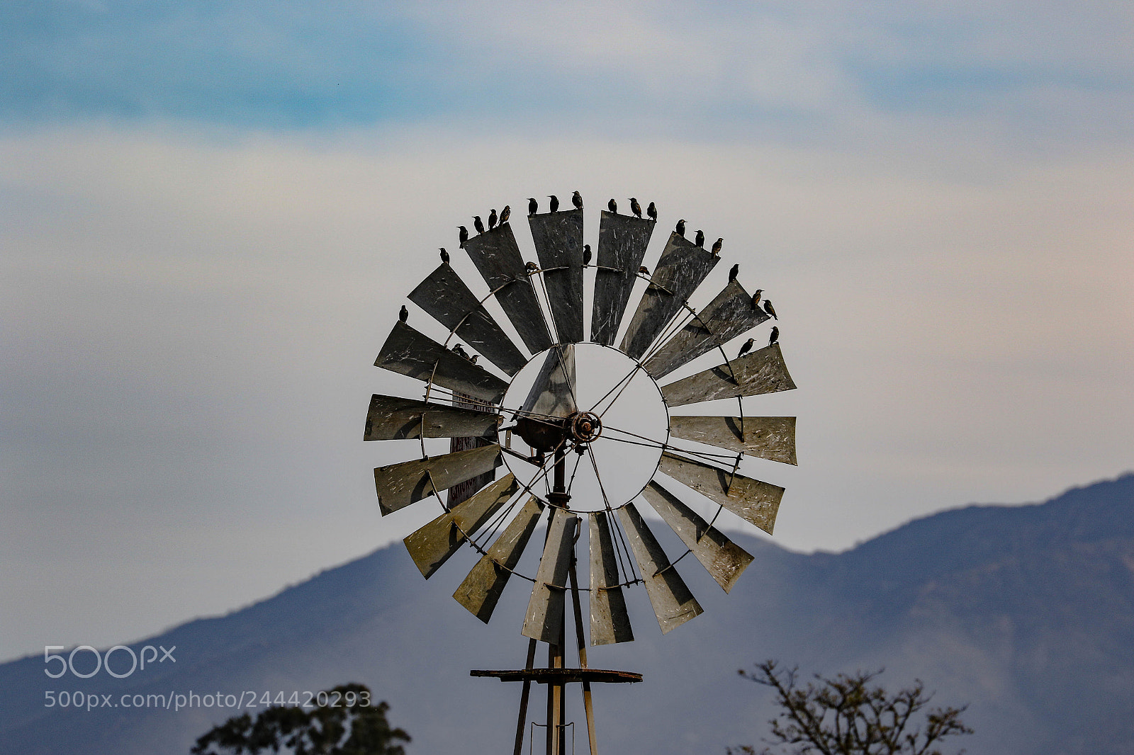 Canon EOS 7D Mark II sample photo. Windmill photography