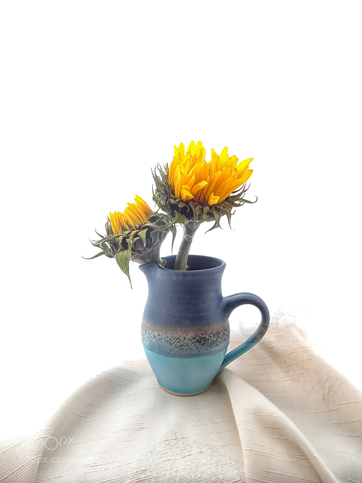 Sony DSC-HX60V sample photo. Yellow photography