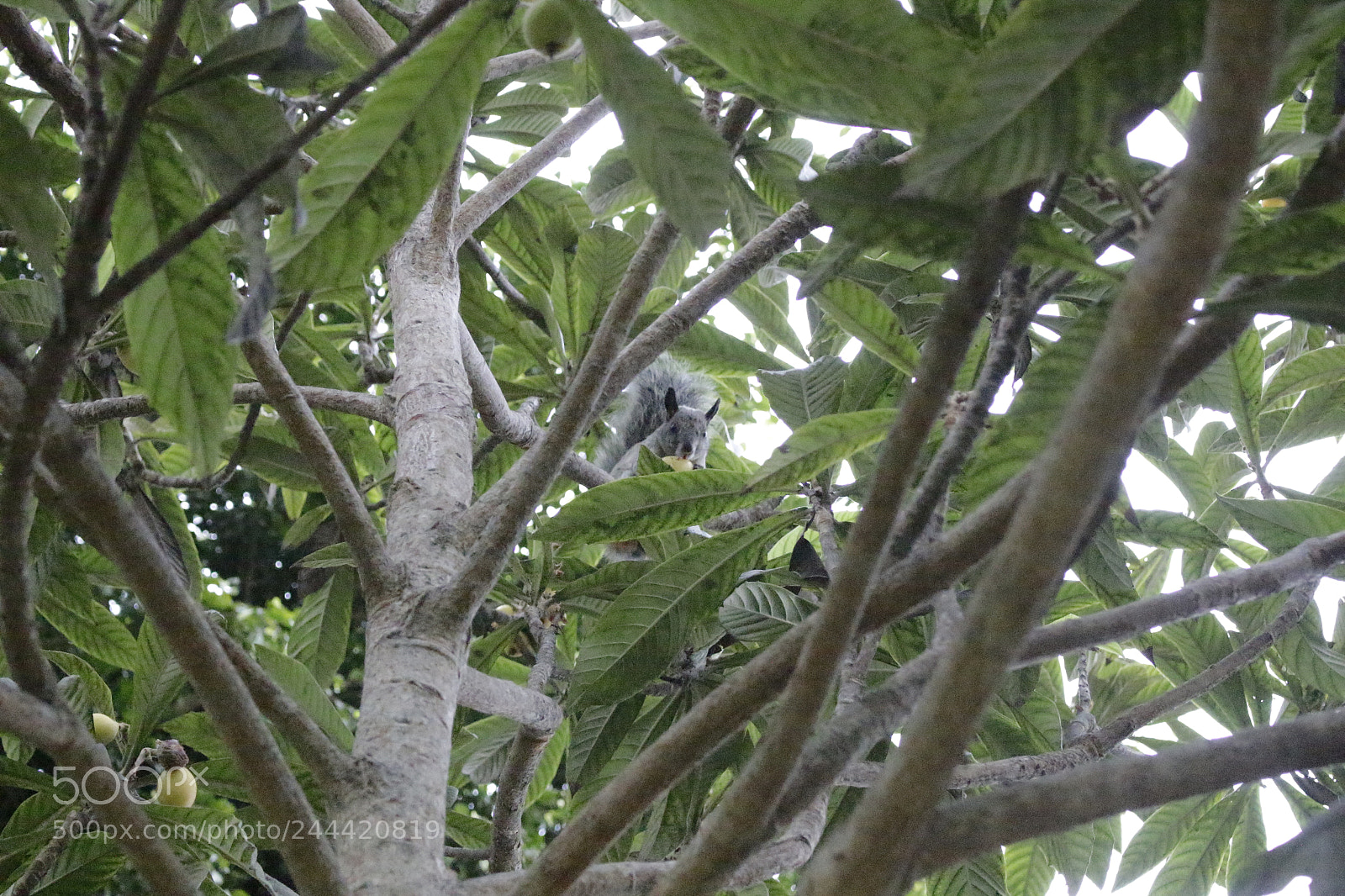 Canon EOS 700D (EOS Rebel T5i / EOS Kiss X7i) sample photo. Naturaleza photography