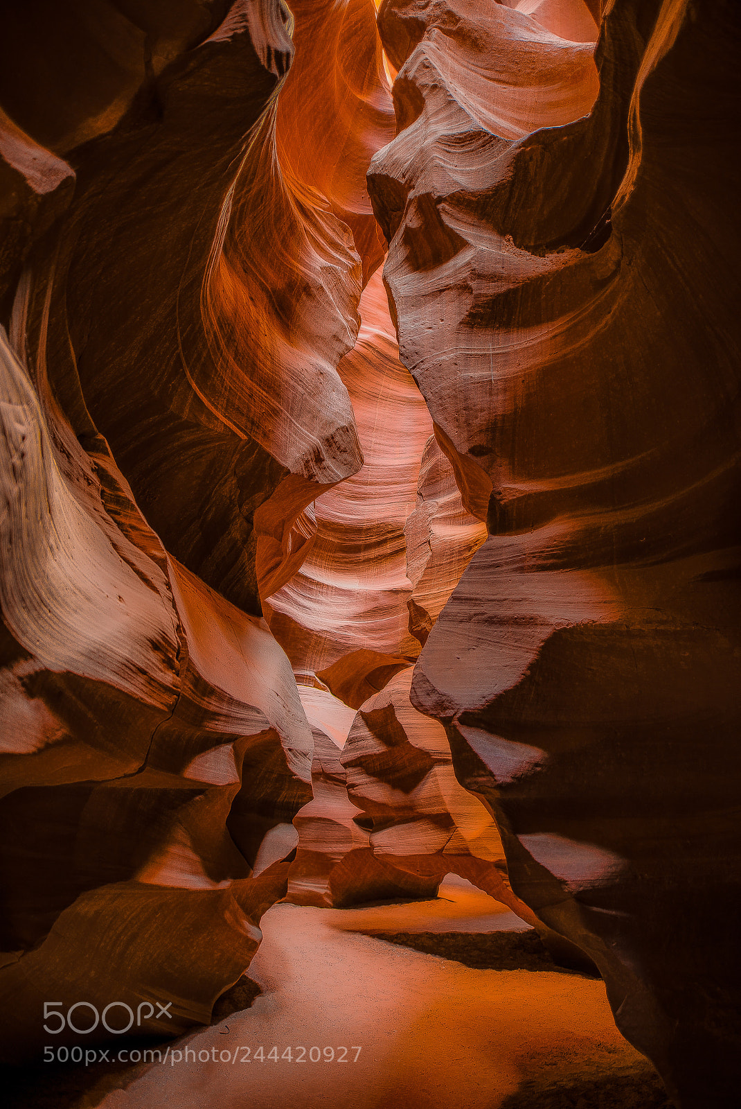 Nikon D810 sample photo. Path of enlightenment photography