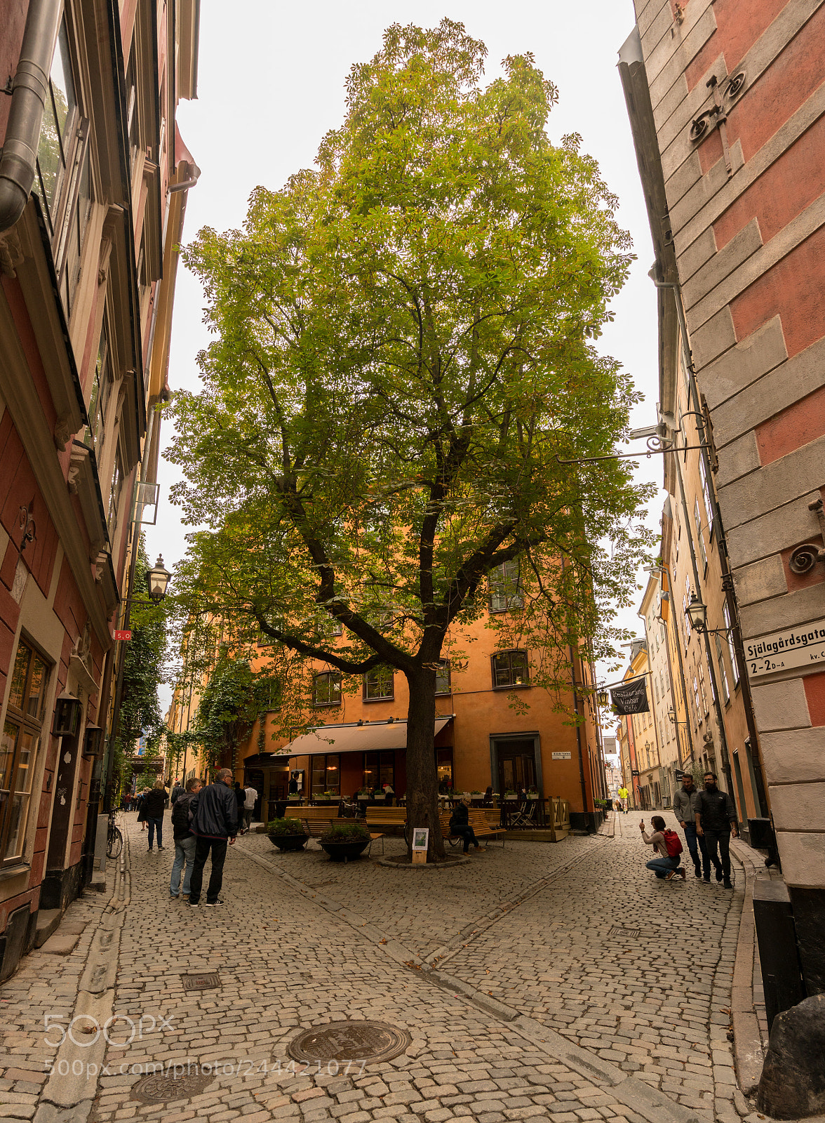 Sony a7R II sample photo. Narrow cobblestone square in photography