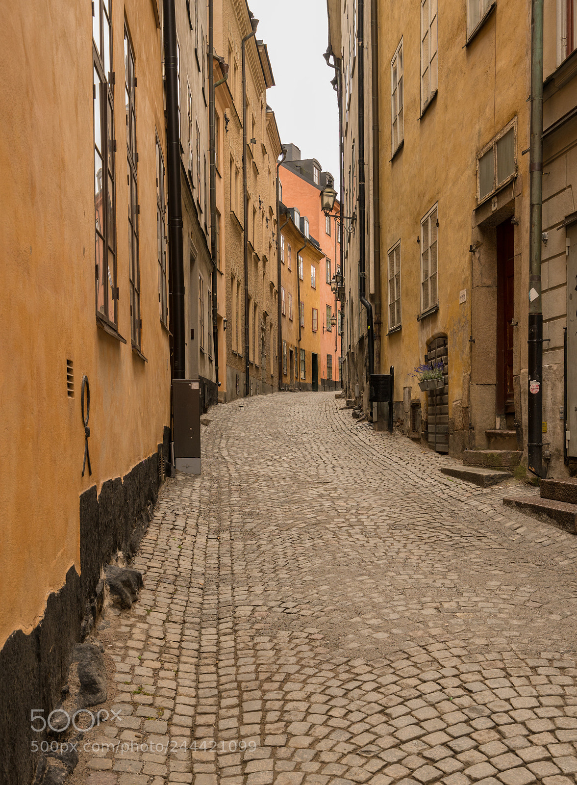 Sony a7R II sample photo. Narrow cobblestone street in photography