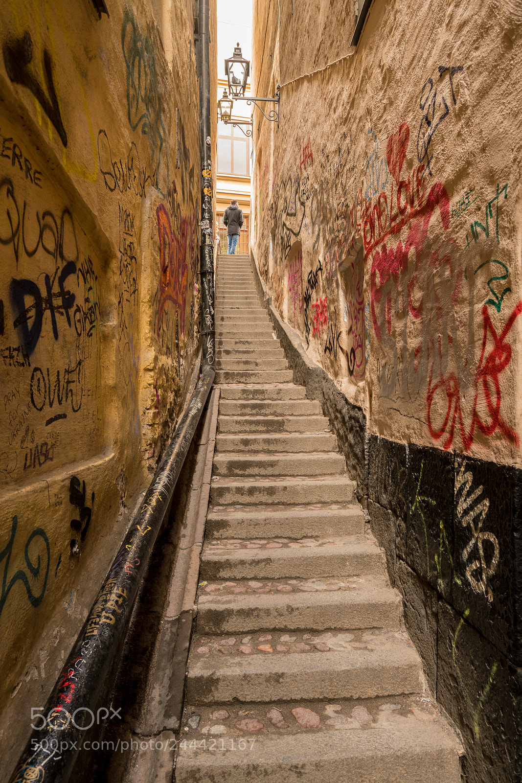 Sony a7R II sample photo. Narrow alley of marten photography