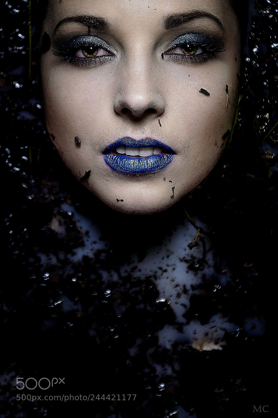 Nikon D4S sample photo. Log photography
